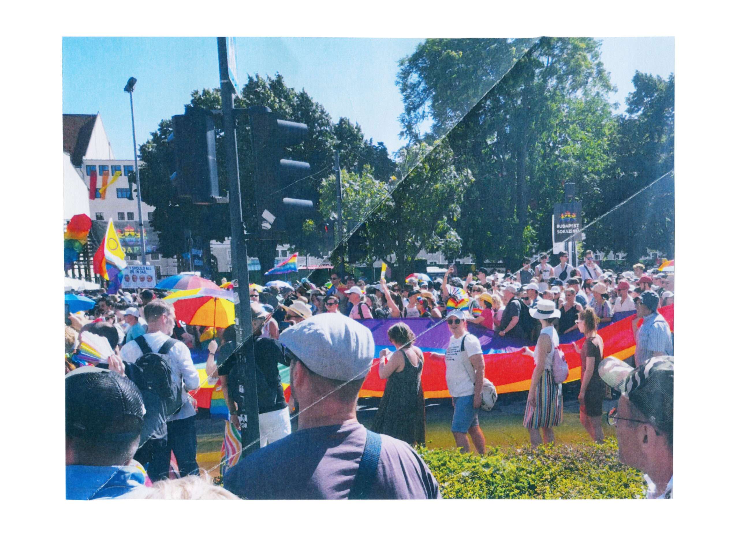 lea fiterman censored pride